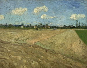 Vincent_van_Gogh_-_Geploegde_akkers_('De_voren')_-_Google_Art_Project
